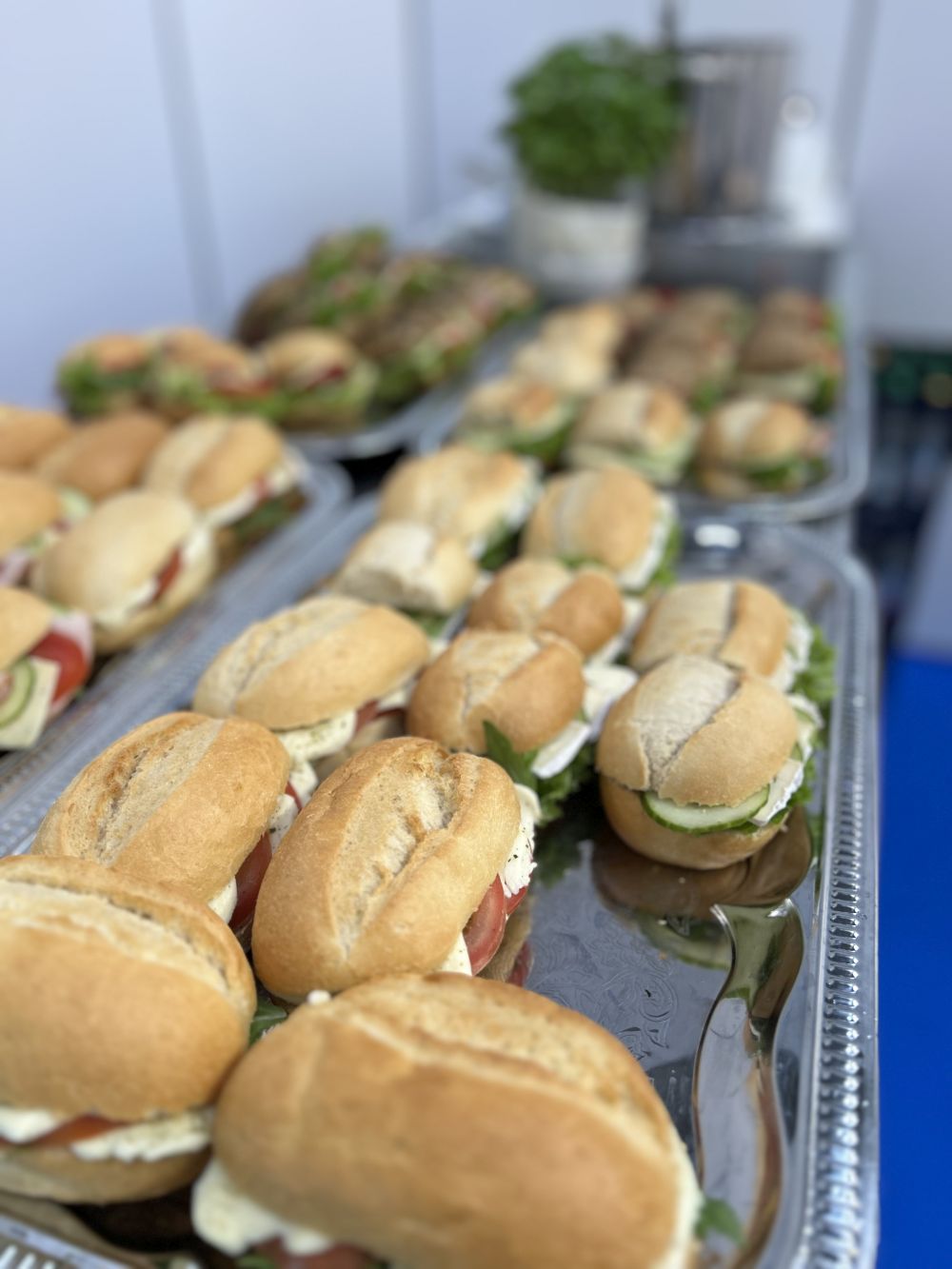 LASER 2025 IMG 0763 comp